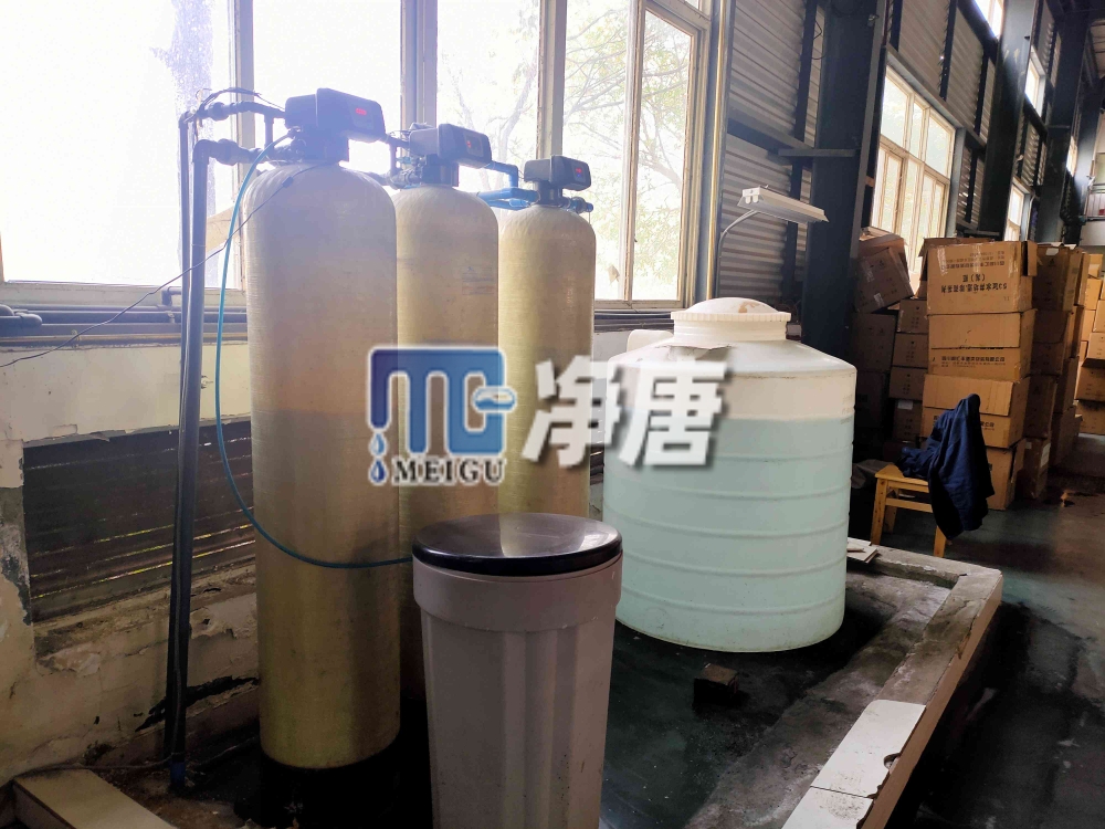 龍泉玻璃廠反滲透設備