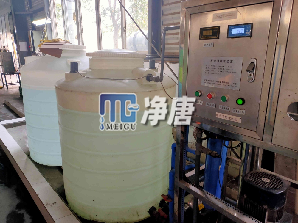 龍泉玻璃廠反滲透設備