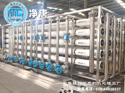 水库河水净化后生产用反渗透水处理净水设备